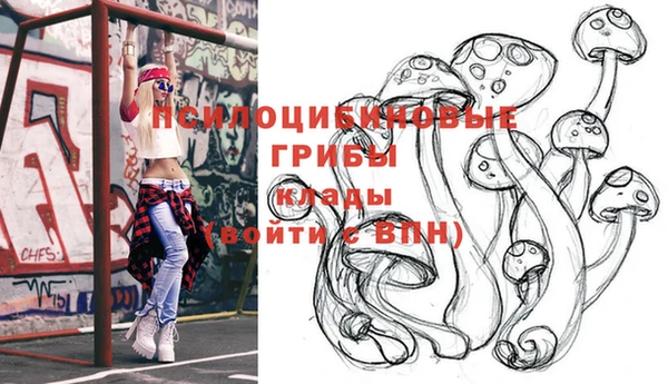 хмурый Алексеевка