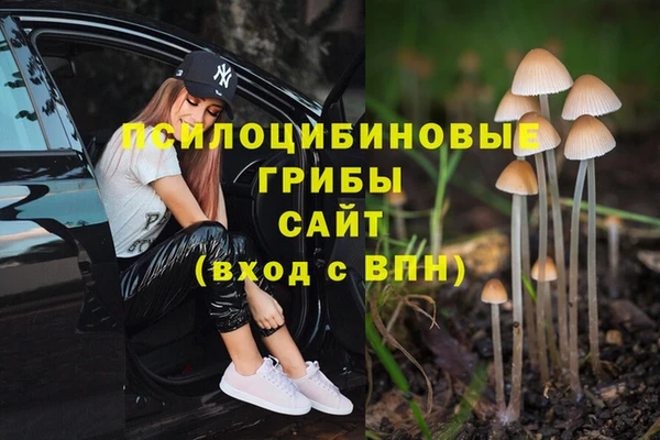 PSILOCYBIN Алзамай