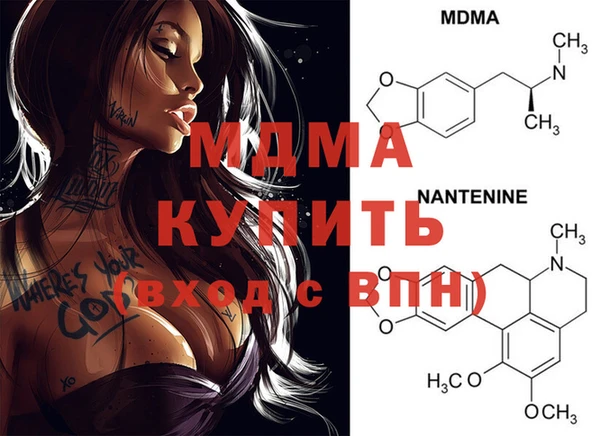 PSILOCYBIN Алзамай