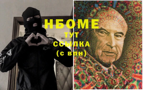 PSILOCYBIN Алзамай